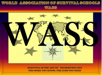 logo wass con letras