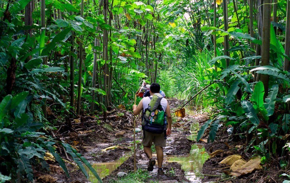 SUPERVIVENCIA EN LA SELVA AMAZÓNICA