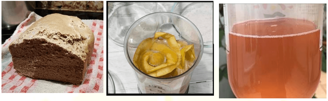 MASA MADRE PARA HACER PAN A PARTIR DE FRUTA FERMENTADA