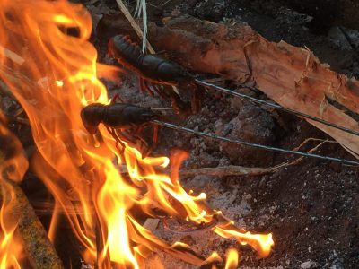 fuego curso supervivencia