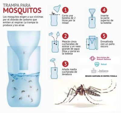 Ver imagen en Twitter