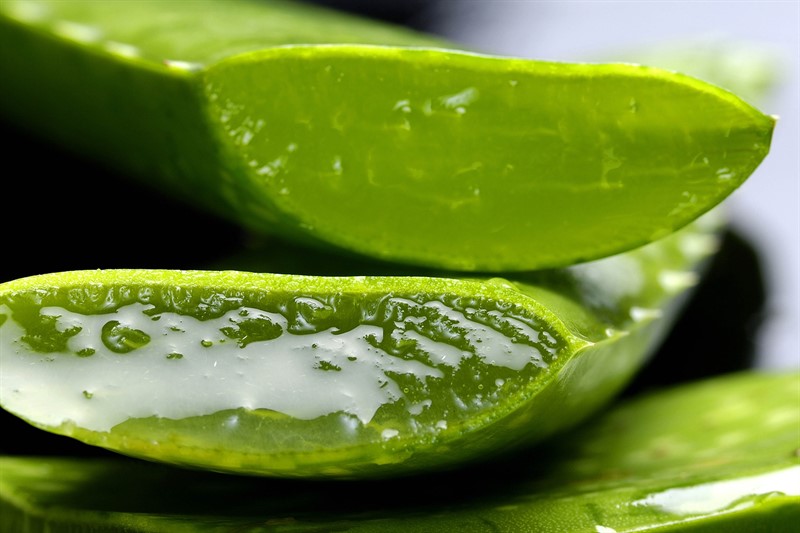 ¿Qué se puede hacer con el aloe vera?