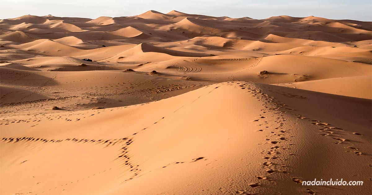 desierto