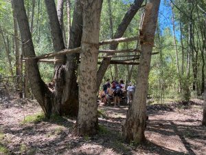 campamento verano