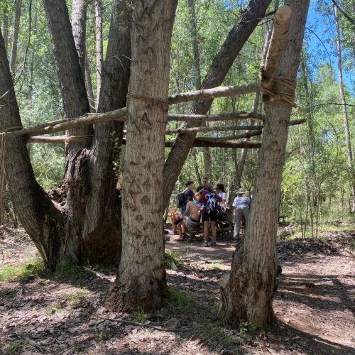 campamento verano