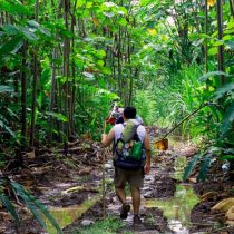 supervivencia en la selva amazonica