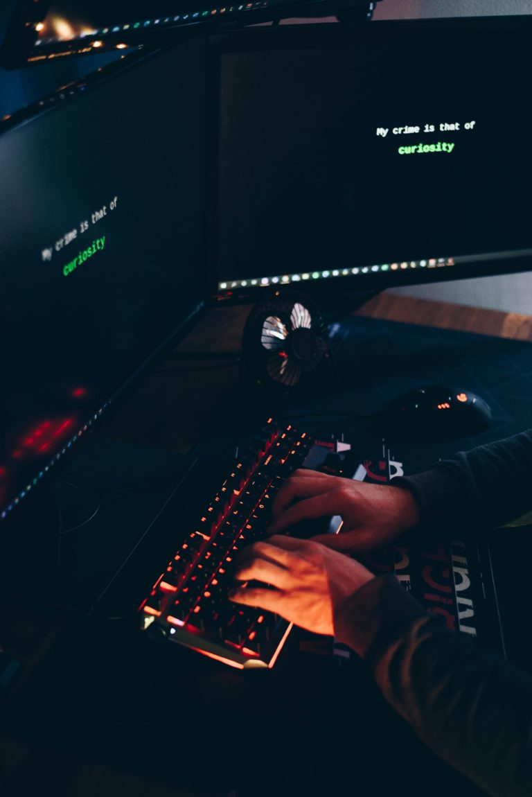curso ciberseguridad supervivencia
